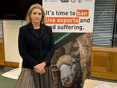 В мае британские консерваторы могут заменить Сунака. Преемницей готовят женщину - СМИ