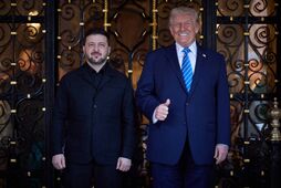 Що стало зрозуміло після переговорів Зеленського та Трампа у Флориді та дзвінка Трампа Путіну