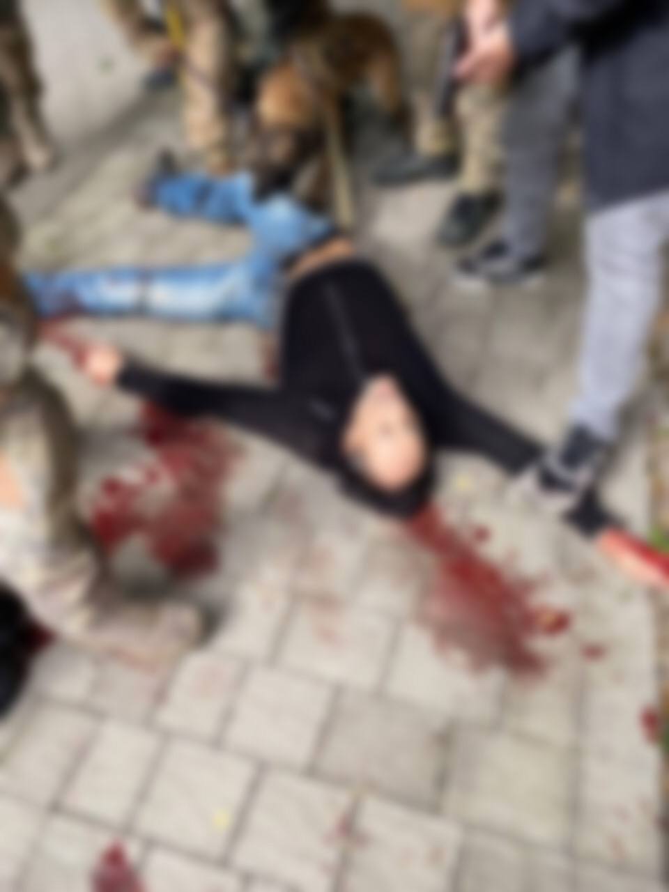 В МВД заявили о задержании мужчины, убившего 22-летнюю полицейскую