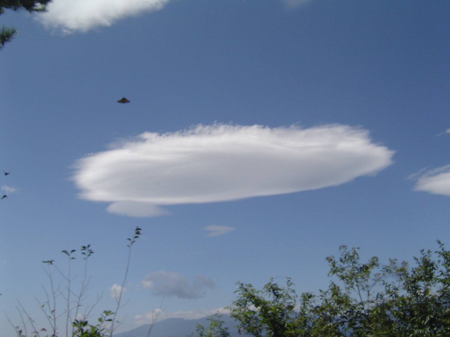 В Японии заявили о существовании НЛО. Фото: ufo-laboratory.com